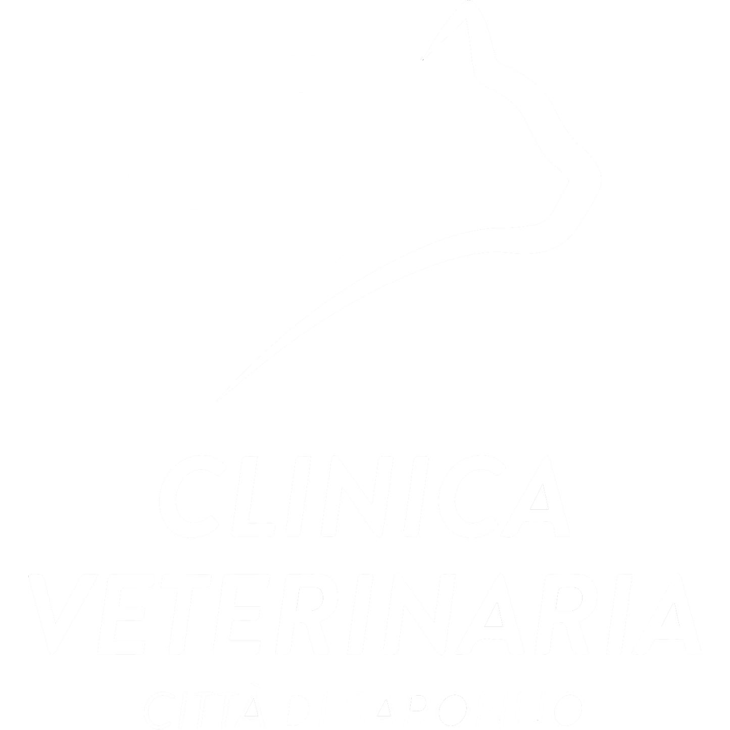 Ottica Bergamini Saronno